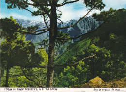 España--San Miguel De La Palma--Parque Nacional De La Caldera De Taburiente--a, Francia - La Palma