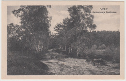 Velp - Berkenlaantje Beekhuizen   - Gelderland, Nederland/Holland - Velp / Rozendaal