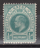 NATAL 1904 KEVII   1/2  P   MH - Natal (1857-1909)