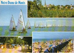 D40 / DEPT 85 CP 1980 NOTRE DAME DES MONTS REGATES PLAGE CAMPINGS ASPECT CHAMPETRE - Poiré-sur-Vie