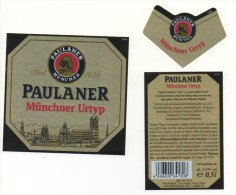 Paulaner - Munchner Urtyp - 0,5l - Bier