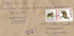 Ethiopia 2013 Shecha Postal Agency Bushbuck Cover - Ethiopie