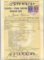 Revenue-Tax Stamp-DIPLOME UNIVERSITE-Yugoslavia-1941 - Brieven En Documenten