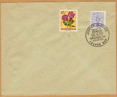 Enveloppe Cover Brief 849 Journée Française Exposition Bruxelles + 302 Congo - Brieven En Documenten