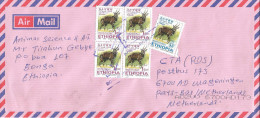 Ethiopia 2012 Bonga Postal Agency Bushbuck Cover - Ethiopie