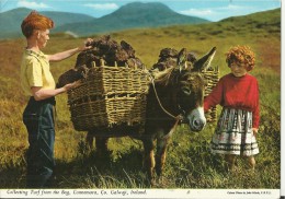 IRELAND 1973 - POSTCARD - ROUNDSTONE HARBOUR AND THE TWELVE  PINS , CO GALWAY WRITTE ON JUNE 1, 1973 CONAMARA - NOT MAIL - Galway