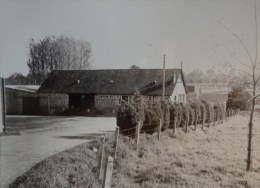 53 LANDIVY  CARTE PHOTO  MAISON SORTIE DU VILLAGE    AVEC SON NEGATIF D´ORIGINE POUR EDITION DE LA CARTE - Landivy