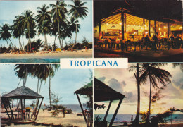 AFRICA,afrique,GABON,LIBREVILLE,HOTEL,TROPICANA,paillotte,restaurant,multivue Ancienne - Gabon