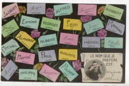 Delcampe - LE NOM QUE JE PRÉFÈRE EST : ALPHONSE ET ALBERT - Réf. N°5174 - - Vornamen