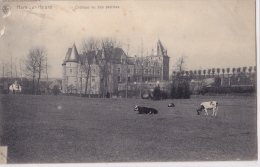 HAM-SUR-HEURE : Le Château Vu Des Prairies - Ham-sur-Heure-Nalinnes