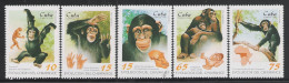 CUBA - 1998 - 5 VALORI NUOVI STL DEDICATI AGLI SCIMPANZE' E SUA EVOLUZIONE - IN BUONE CONDIZIONI. - Chimpancés