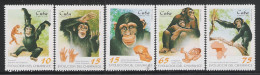 CUBA - 1998 - 5 VALORI NUOVI STL DEDICATI AGLI SCIMPANZE' E SUA EVOLUZIONE - IN BUONE CONDIZIONI. - Chimpanzés