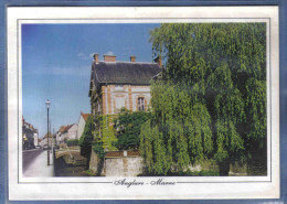 Carte Postale 51. Anglure  Trés Beau Plan - Anglure