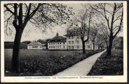 Münsingen Schwand - Münsingen