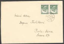 BuM1181 - Böhmen Und Mähren (1939) Jilemnice (czech. Postmark) Letter, Tariff: 1,00K (stamp: 2x 50h Castle Karlstejn) - Storia Postale