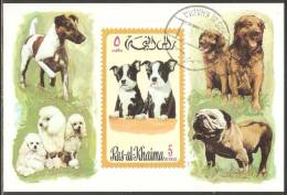 Ras Al-Khaima 1971 Mi# Block 104 Used - Dogs - Ras Al-Khaima