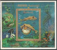 Manama 1971 Mi# Block 156 A Used - Tropical Fishes - Manama