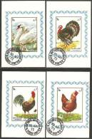 Sharjah 1972 Mi# 1190-1193 B Used - Imperf. - 4 Souvenir Sheets - Birds (IV) - Sharjah