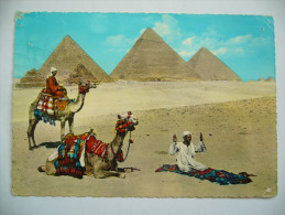 Egypt: Prayer Near The Giza Pyramids And Camel, Gebet Bie Den Giza Pyramiden - Used 1967, PC Damaged - Guiza