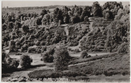 Nunspeet - Puur Natuur Op De Nijverdalseberg - (1965)    - Gelderland - Holland/Nederland - Nunspeet