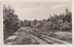 Epe - Naar De Doolhof (1955) - Gelderland - Holland/Nederland - Epe