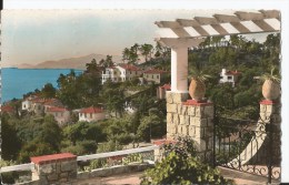 Delcampe - CPSM - Le Lavandou - Vue Générale - Le Lavandou