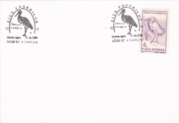 BIRDS DAY, BLACK STORK, 1991, STAMP ON COVER, ROMANIA - Ooievaars