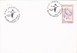 BIRDS DAY, BLACK STORK,  CICONIA NIGRA, 2000, STAMP ON COVER, ROMANIA - Cigognes & échassiers
