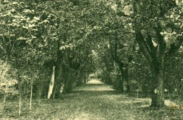 Domaine Du Grand-Barrau  - Albias (tarn Et Garonne) - Albias