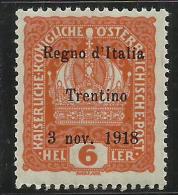 TRENTINO ALTO ADIGE 1918 SOPRASTAMPATO OVERPRINTED 6 HELLER MNH - Trento