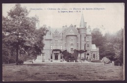 OVERIJSE - OVERYSSCHE - Château Du Comte De Marnix De Sainte Aldegonde  // - Overijse