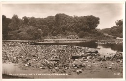 Lily Pond  CASTLE KENNEDY - Unused TTB - Dumfriesshire