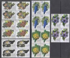 2012.37 CUBA 2012 MNH COPA CUBA. FAUNA. BIRDS SNAILS. FLOWERS.SQUIRRELS. BLOCK 4 - Unused Stamps