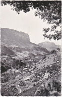 26. Pf. LE VERCORS. Route Des Grands Goulets. Gorges De La Vernaison. 3953 - Les Grands Goulets