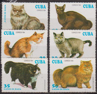 Animaux Domestiques - Chats, Cat, Katze, Faune - CUBA - Persan, Havane, Persan - N° 3351 à 3356 * - 1994 - Neufs