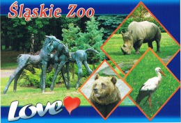 Slaskie ZOO - Rhinoceros, Bear,stork - Neushoorn