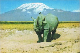 Slaskie ZOO - Rhinoceros On Nature - Rhinoceros