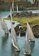 EGYPT - Assuan - Sailboats On River Nile - Aswan