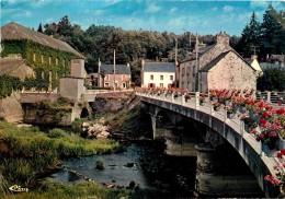 LA GACILLY         BOUT DU PONT - La Gacilly