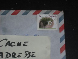 LETTRE CANADA AVEC YT 1227 - FLORE FRUIT ARBRE - PRUNIER PRUNE STANLEY - - Covers & Documents