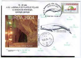 Biennial Polar Exhibition XV. Turda March 2004. (Turda Salt Mine - White Whale). - Events & Gedenkfeiern