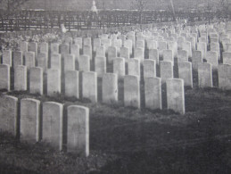 CPA MILITARIA Camp De SISSONNE   Phototypie Daniel Delbois Mirecourt Cimetiére Anglais Et Allemand - War Cemeteries