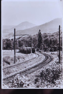 LOCOMOTIVE VUE EXTREMENT RARE  LIGNE SUPPRIMEE EN 1962  CP PHOTO - Gares - Sans Trains
