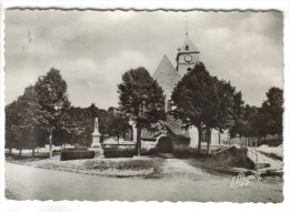 CPSM CHAMPIGNY SUR YONNE (Yonne) - Place De L'Eglise - Champigny