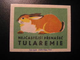 CZECHOSLOVAKIA CZECH Rabbit Rabbits Farm Agriculture Fauna Animal Poster Stamp Label Vignette Cinderella - Conejos