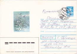 BIRDS, SWALLOWS, WINTER, 1989, COVER STATIONERY, RUSSIA - Hirondelles