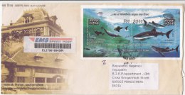 Used Speed Post Cover On Indo Phillippines Joint Issue Miniature, Marine Mammal, 2012 / 2009 - Delfines