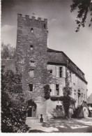 67 - Bas-Rhin - WOERTH - Le Château - Dentelée - Format 10,5 X 15 - Wörth