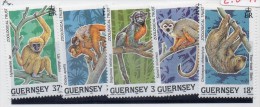 Serie Nº 467/71 Guernsey - Chimpanzés