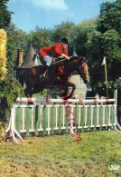 19 - POMPADOUR - HARAS-   CONCOURS HIPPIQUE - Arnac Pompadour